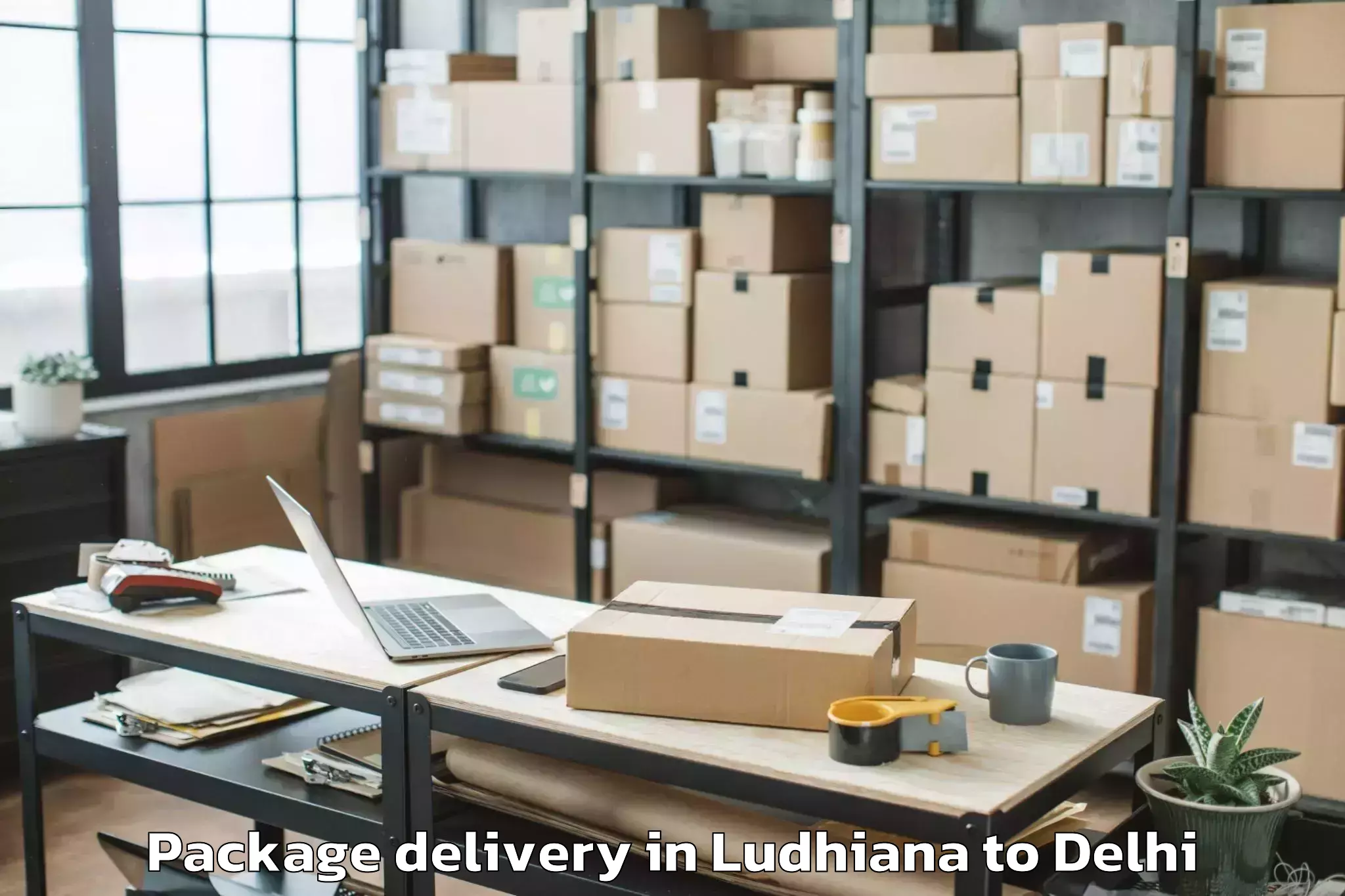 Get Ludhiana to Indira Gandhi International Ai Package Delivery